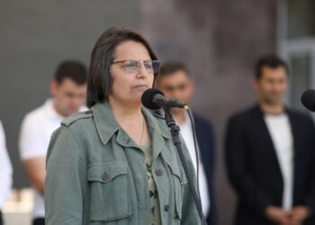 «Ատում եմ ինձ, որ այդքան հայրենապաշտ էի դարձրել որդուս». Կարին Տոնոյան