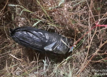 Քրեակատարողական ծառայողները կանխել են ներնետման միջոցով արգելված իրերի փոխանցումը