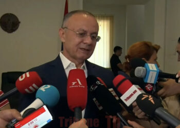 Ոչինչ կորսված չէ, Արցախի էջը փակ չէ՝ հաշվի առնելով 3 հանգամանք. Սեյրան Օհանյան. տեսանյութ