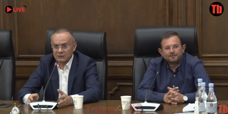 Ալեն Սիմոնյանը ամենամեծ պարգևն է թուրք-ադրբեջանական տանդեմի համար. Սեյրան Օհանյան. տեսանյութ