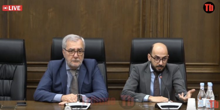 Փաշինյանը իր սխալների համար ներողություն չի խնդրում, նախկինների՞ համար է խնդրում. տեսանյութ