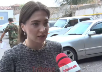 Մալյանը 1 տարի բանտ նստեց՝ առանց դատական ակտի, պատկերացնու՞մ եք. Աննա Մկրտչյան. տեսանյութ