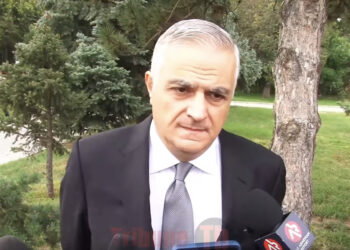 «Սահմանազատման հաջորդ էտապի վերաբերյալ դեռ որոշում չկա». Մհեր Գրիգորյան