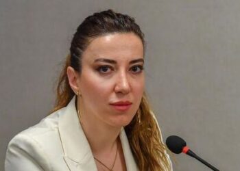 «ՄԻԵԴ-ում Ադրբեջանը կեղծ եզրակացություններ է ներկայացրել, ինչն ապացուցել են մեր փորձագետները». Սիրանույշ Սահակյան