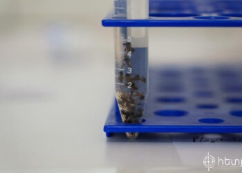 Արմավիրի մարզում Արևմտյան Նեղոսի տենդից 3 մարդ է մահացել․ «Հետք»