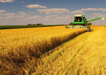 Գյուղատնտեսության ոլորտի մի շարք տնտեսվարողների՝ 171 374,6 հազար դրամի շրջանակներում աջակցություն կտրվի