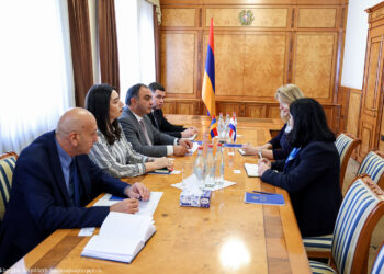 ՆԳ նախարարը Նիդերլանդների դեսպանի հետ քննարկել է համագործակցության վերաբերյալ հարցեր