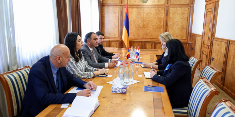 ՆԳ նախարարը Նիդերլանդների դեսպանի հետ քննարկել է համագործակցության վերաբերյալ հարցեր