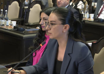 «2024-ի առաջին կիսամյակում առանձնապես ծանր հանցագործությունների թիվն աճել է 17,8 տոկոսով». Վարդապետյան