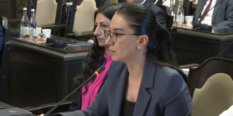 «2024-ի առաջին կիսամյակում առանձնապես ծանր հանցագործությունների թիվն աճել է 17,8 տոկոսով». Վարդապետյան