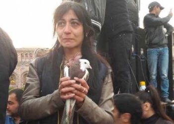 Արփի Դավոյանին բացատրել են, որ չի ձգի նախարարի պաշտոնին. «Հրապարակ»