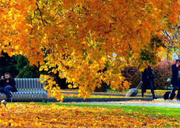 Այսօրվանից հաստատուն քայլերով գնում ենք դեպի խորը աշուն