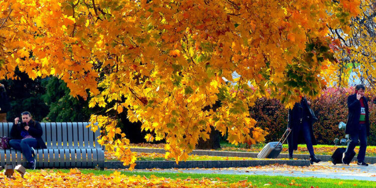 Այսօրվանից հաստատուն քայլերով գնում ենք դեպի խորը աշուն