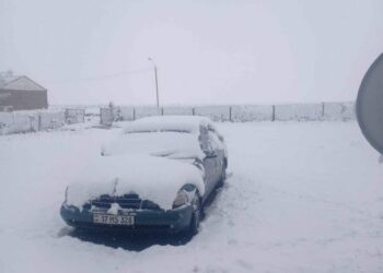 Հայաստանում տեղացել է առաջին ձյունը