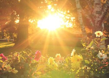 «Վաղվանից 10 օր փոքրիկ ամառ կլինի»․ Սուրենյան