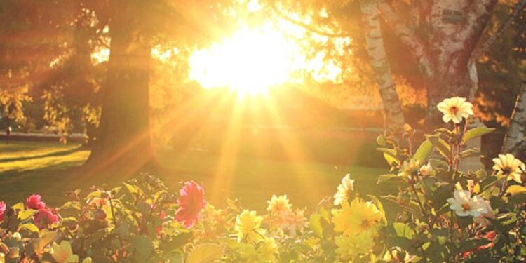 «Վաղվանից 10 օր փոքրիկ ամառ կլինի»․ Սուրենյան