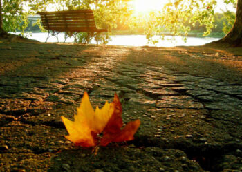 Առաջիկա երկու օրը՝ առանց տեղումների. ջերմաստիճանը էապես չի փոխվի