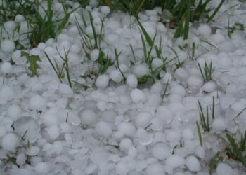 Կարկտի առավել ակտիվ գոտիներում գործունեություն իրականացնող գյուղացիներին աջակցություն կտրվի