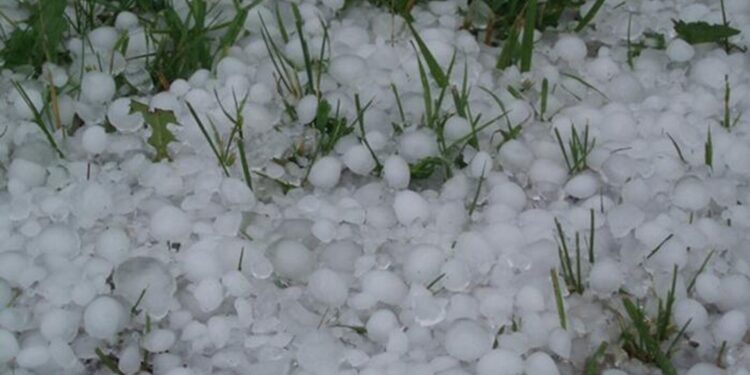 Կարկտի առավել ակտիվ գոտիներում գործունեություն իրականացնող գյուղացիներին աջակցություն կտրվի