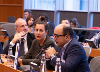 «Բրյուսելում խոսել եմ ՀՀ կառավարիչների հակաժողովրդավարական պահվածքի, Բաքվում ապօրինի պահվողների և Աշոտյանի մասին». Մամիջանյան