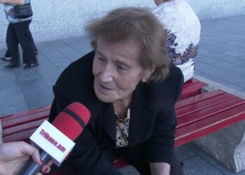 Անժելի ախպորը՝ Հրայր Թովմասյանին դրեք նախարար, Արփի Դավոյանն ո՞վ ա. հարցում. տեսանյութ