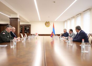 Պապիկյանն ու Վրաստանի ռազմական կցորդը քննարկել են պաշտպանության բնագավառում համագործակցության ընթացքը
