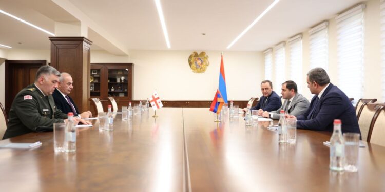 Պապիկյանն ու Վրաստանի ռազմական կցորդը քննարկել են պաշտպանության բնագավառում համագործակցության ընթացքը