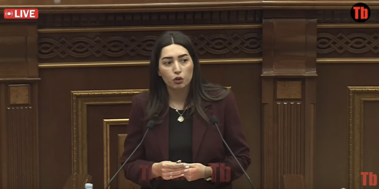 ԱԺ-ի վրա հարձակման կազմակերպիչներից ի՞նչ տեղեկություն կա. Ալեն Սիմոնյանը՝ ՆԳ փոխնախարարին. տեսանյութ