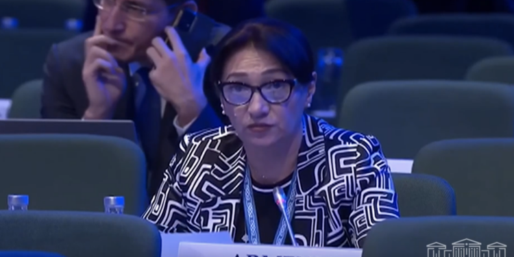 «Միջազգային հանրությունը ձախողել է Լեռնային Ղարաբաղի խնդրի հանգուցալուծումը». Լիլիթ Գալստյան