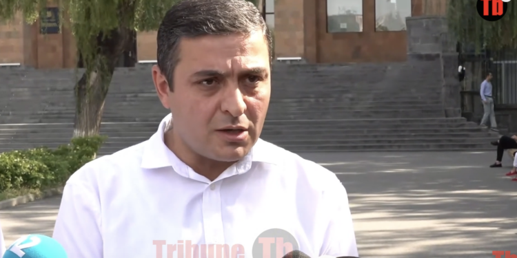 Այսպիսի սխալներով օրենքը փնթիության գագաթնակետն է. Մենուա Սողոմոնյան. տեսանյութ