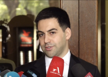 «Եթե մաքսային մարմինը Հայաստան մտնող բեռները 100 տոկոս զննի, մինչև Փոթի հերթ կգոյանա». Ռուստամ Բադասյան