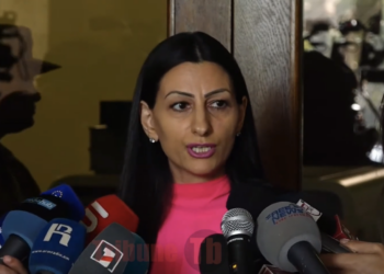 Ձեր ընկերուհի Աննա Վարդապետյա՞նն է ձեր թեկնածությունը առաջադրել. օմբուդսմենը կոռեկտ չգտավ ասել. տեսանյութ