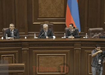 Ինչո՞ւ են հանցագործություններն աճել. իրավապահները պարզաբանում են պատգամավորներին. լսումներ. Ուղիղ