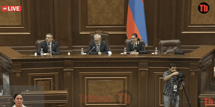 Ինչո՞ւ են հանցագործություններն աճել. իրավապահները պարզաբանում են պատգամավորներին. լսումներ. Ուղիղ