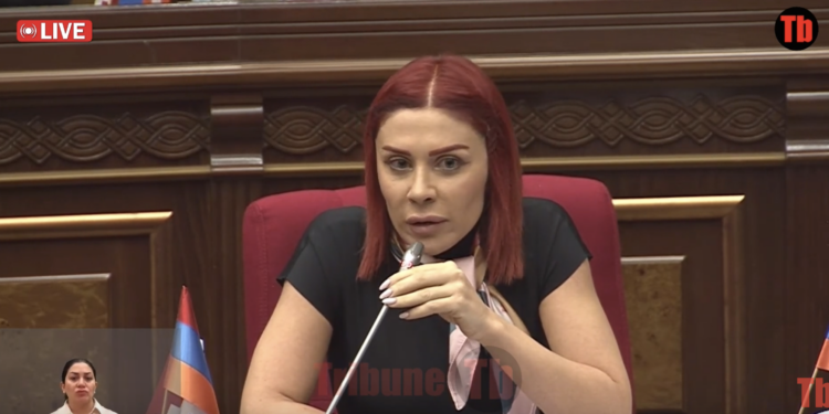 Տիկին դատախազ, պարոնայք, ես ձեր փոխարեն վիրավորվում եմ. Խամոյան. տեսանյութ