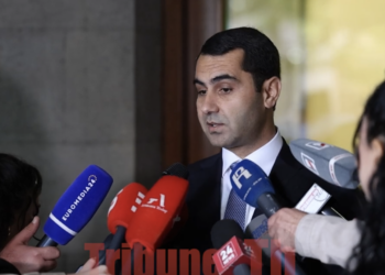 Իմ բարեկամների մեջ հանցագործներ չկան, որևէ մեկին զանգ չեմ արել. մարզպետը` Քյարամյանին զանգելու մասին. տեսանյութ