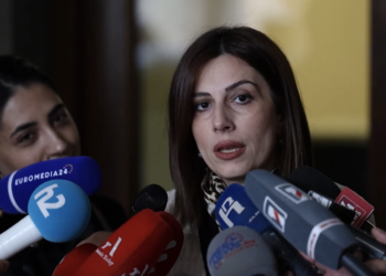 Մտավախություն չունեմ, որ նախարարների դեմ սկսված արշավն ինձ կհասնի. Անահիտ Ավանեսյան. տեսանյութ