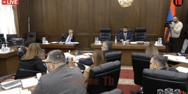 Սահմանազատման հանձնաժողովի կանոնակարգը վավերացնելու հարցը. Ուղիղ