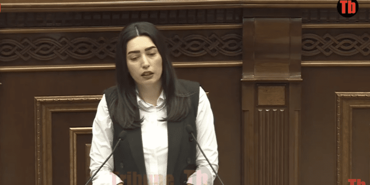 «Ռազմական դրության ժամանակ ոստիկանության գվարդիան կարող է ստանալ հատուկ առաջադրանքներ». ՆԳ փոխնախարար