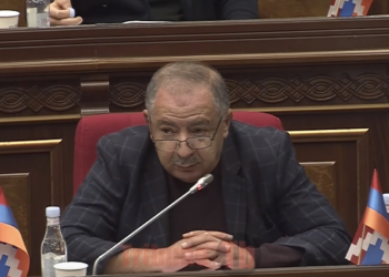 Խնդրում եմ մնալ չափի մեջ. ԱԺ լեզվակռվին միացավ Աղվան Վարդանյանը. տեսանյութ