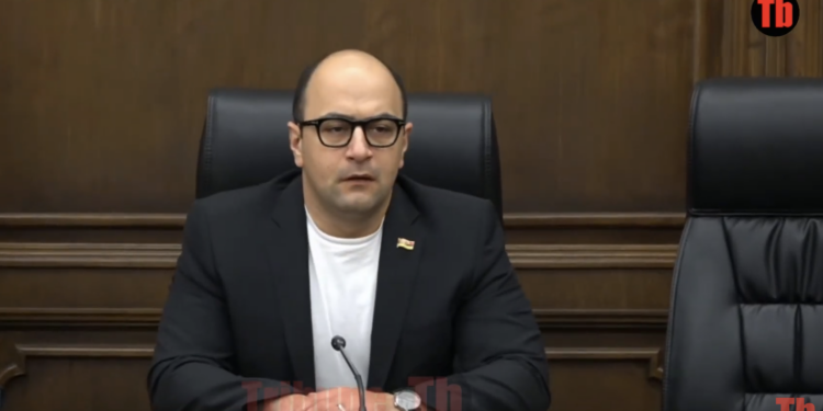 Մենք բոլորի դուխով գլխարկները, հրապարակից սելֆիները հիշում ենք. Մամիջանյան. տեսանյութ