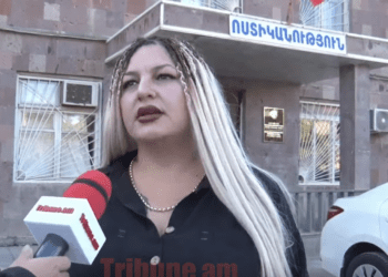 Ուզում ենք հանդիպել կատվին տանջողի,նրա ընտանիքի անդամների ու լայքողների հետ.ցուցարարները Ավշարում են. տեսանյութ