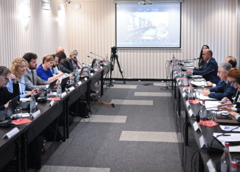 ՏԿԵ նախարարի տեղակալը ՀՀ-ԵՄ ենթակոմիտեի նիստին ներկայացրել է Հայաստանի միջուկային անվտանգության վերաբերյալ ծրագրերը