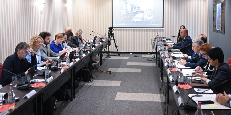 ՏԿԵ նախարարի տեղակալը ՀՀ-ԵՄ ենթակոմիտեի նիստին ներկայացրել է Հայաստանի միջուկային անվտանգության վերաբերյալ ծրագրերը