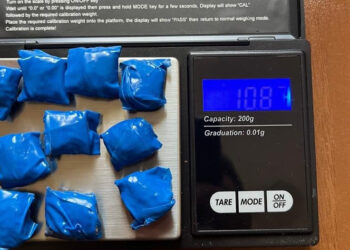 Օտարերկրյա քաղաքացին կալանավորվել է թմրամիջոցների ապօրինի շրջանառության մեղադրանքով