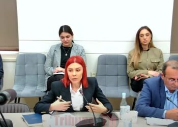 ԱԱԾ-ականը, ոստիկանը, քննիչը պիտի թմրամոլության թեստ հանձնեն. Խամոյանի առաջարկը. տեսանյութ