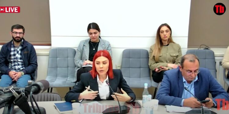 ԱԱԾ-ականը, ոստիկանը, քննիչը պիտի թմրամոլության թեստ հանձնեն. Խամոյանի առաջարկը. տեսանյութ