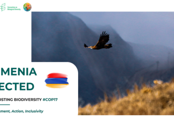 Վարչապետի որոշմամբ COP17-ի կազմակերպման և անցկացման նպատակով կոմիտե կստեղծվի. հայտնի է կազմը