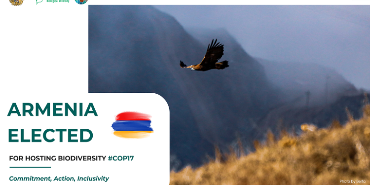 Վարչապետի որոշմամբ COP17-ի կազմակերպման և անցկացման նպատակով կոմիտե կստեղծվի. հայտնի է կազմը