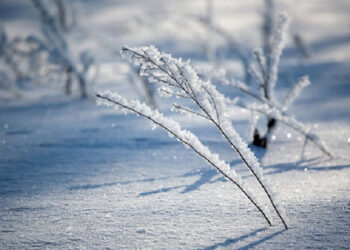 Սիսիանի և Գորիսի տարածաշրջաններում ձյուն է տեղում. տեսանյութ